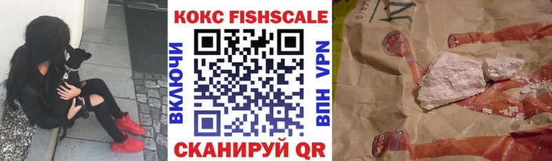 Купить закладки  Судогда  КОКАИН VHQ