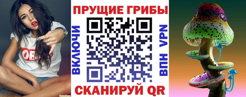 Купить закладки  Судогда  Галлюциногенные грибы ЛСД 
