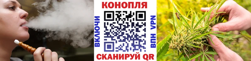 Бошки марихуана марихуана  Купить закладки  Судогда 